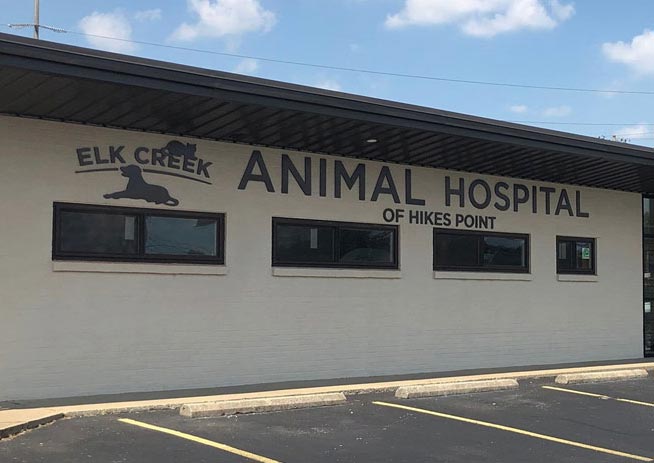 Carousel Slide 1: Elk Creek Animal Hospital of Hikes Point